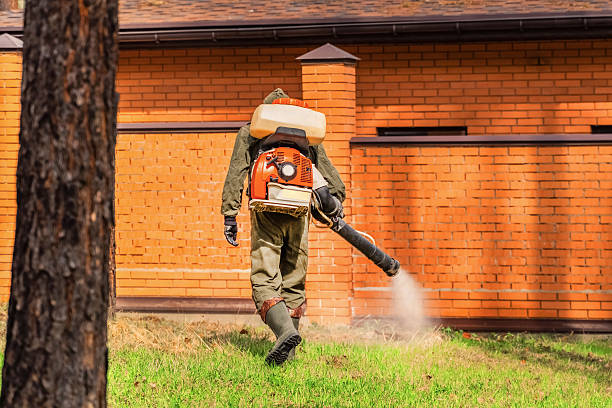 Trusted Mosquito Control service in Manchester, NH - Nex Pest Control